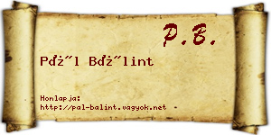 Pál Bálint névjegykártya