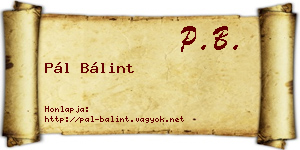 Pál Bálint névjegykártya